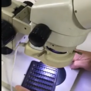 哎呀呀呀呀...這除塵效果滿意嗎？